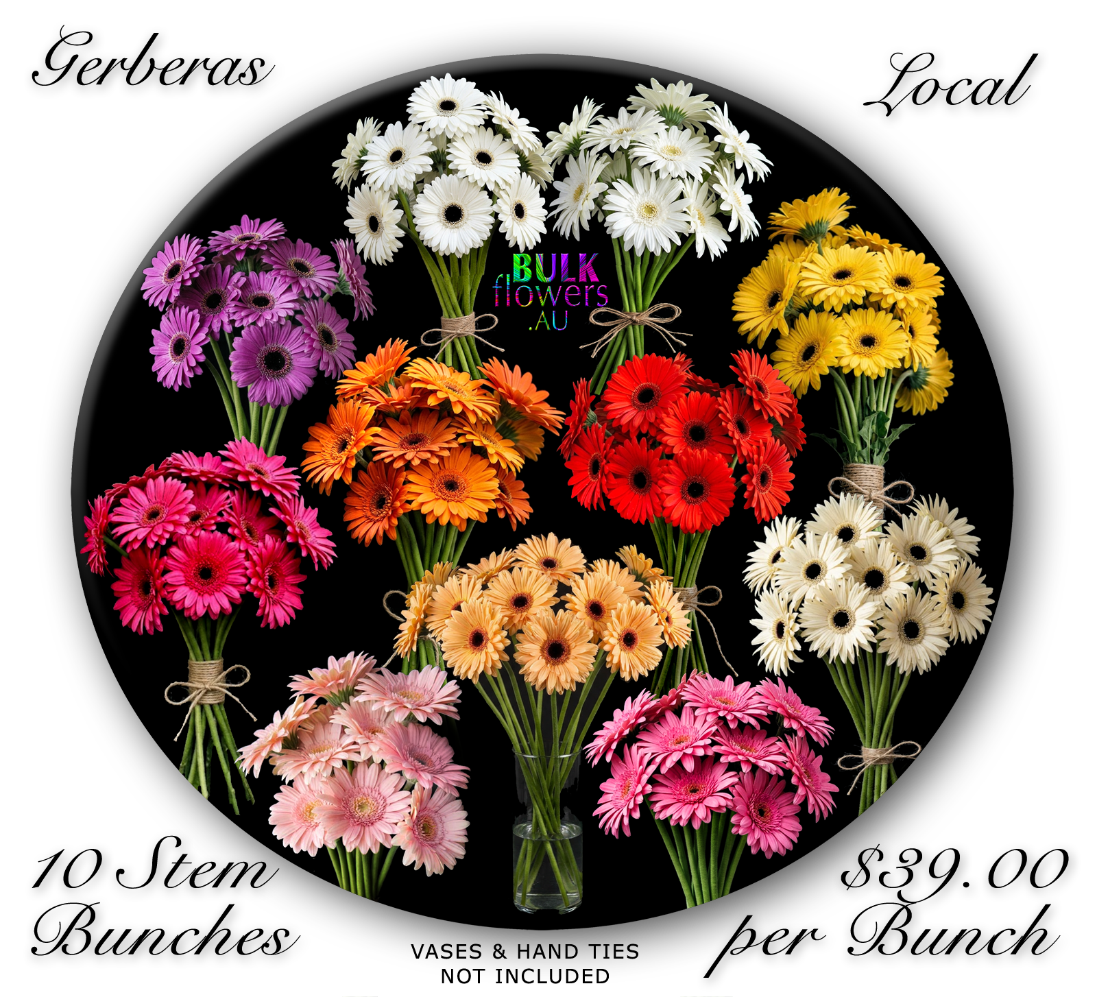 BULK FLOWERS GERBERAS